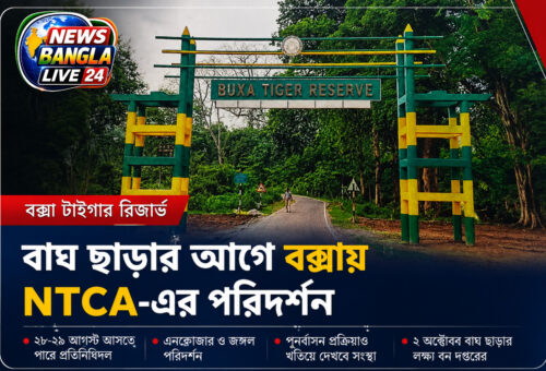 বাঘ ছাড়ার আগে বক্সায় NTCA-এর নজরদারি, ২৮-২৯ আগস্ট পরিদর্শনের সম্ভাবনা