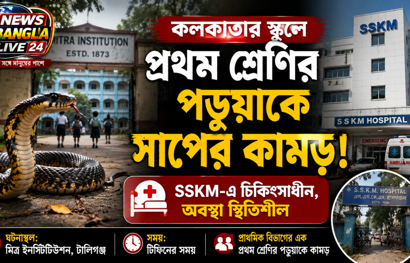 মিত্র ইনস্টিটিউশনে প্রথম শ্রেণির পড়ুয়াকে সাপের কামড়, SSKM-এ ভর্তি