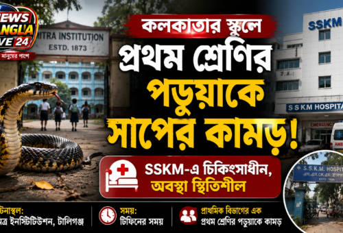 মিত্র ইনস্টিটিউশনে প্রথম শ্রেণির পড়ুয়াকে সাপের কামড়, SSKM-এ ভর্তি