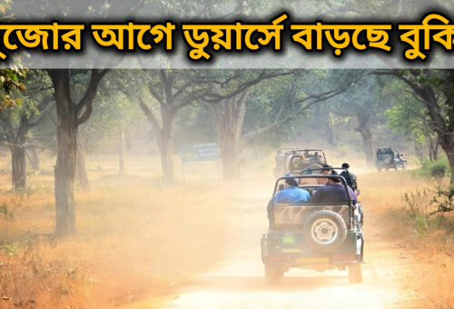 পুজোর আগে উত্তরবঙ্গে পর্যটনের চাহিদা তুঙ্গে, ডুয়ার্সে বাড়ছে হোটেল বুকিং