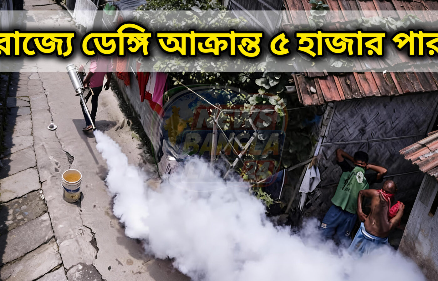 রাজ্যে ডেঙ্গি আক্রান্তের সংখ্যা ৫ হাজার পার, মুর্শিদাবাদে সর্বাধিক