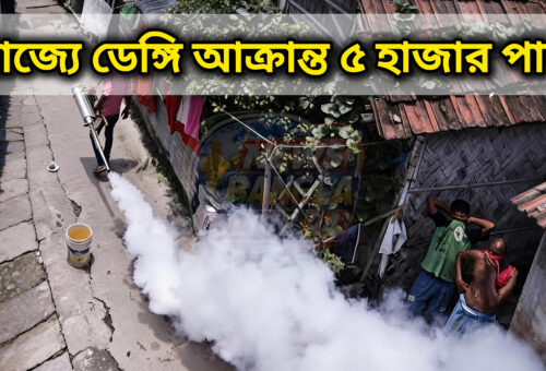 রাজ্যে ডেঙ্গি আক্রান্তের সংখ্যা ৫ হাজার পার, মুর্শিদাবাদে সর্বাধিক