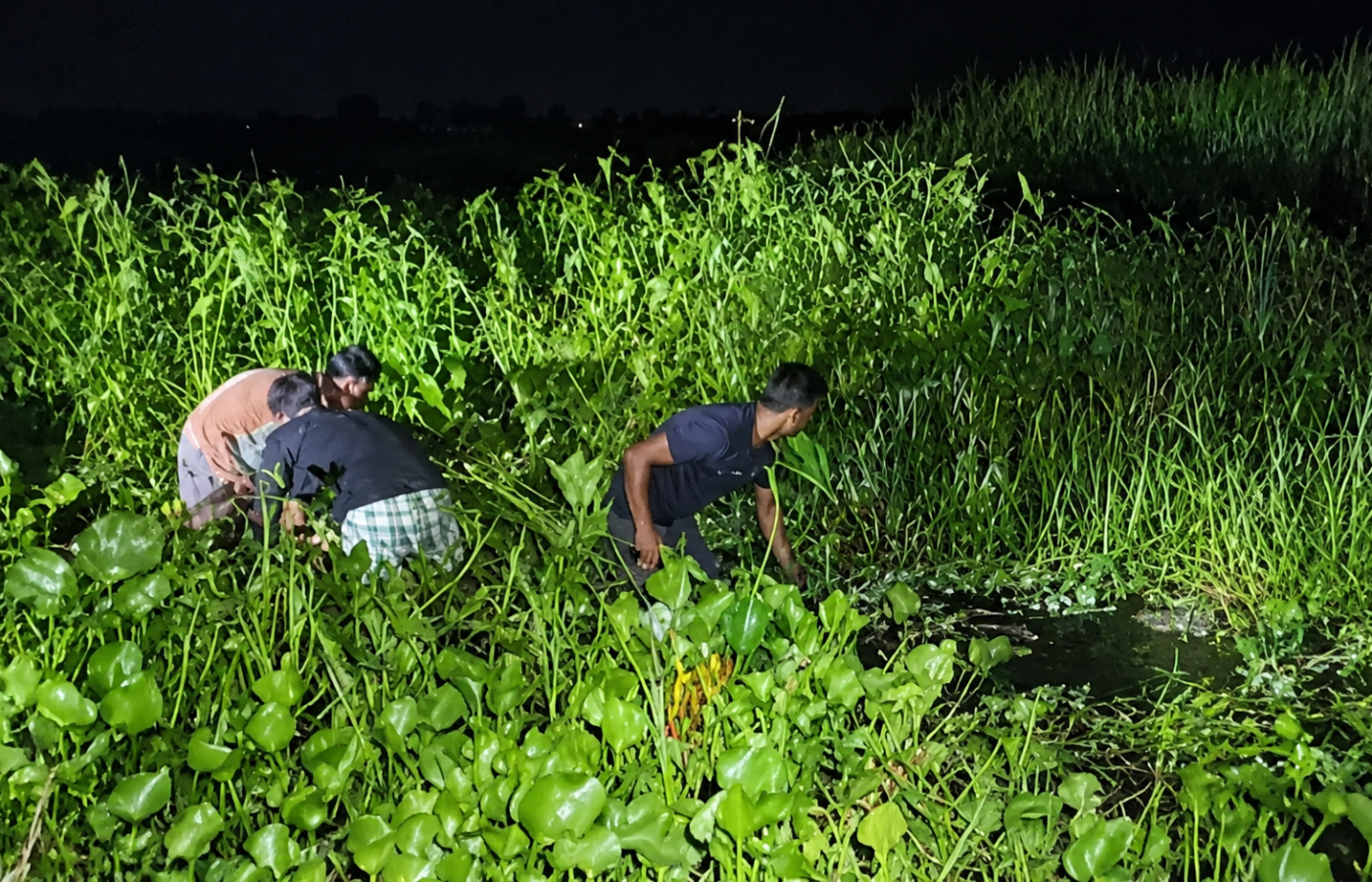 সিতাইয়ে ডোবা থেকে শ্যালক ও জামাইবাবুর দেহ উদ্ধার, চাঞ্চল্য কোচবিহারে